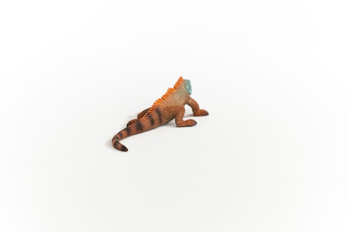 Schleich Iguana Vida Salvaje 14854