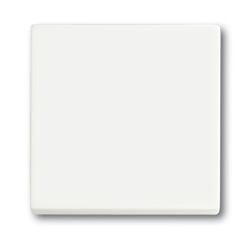 EAN 4011395129289 - Busch-Jaeger 1751-0-3027 interruptor de luz Plástico Blanco imagen 1