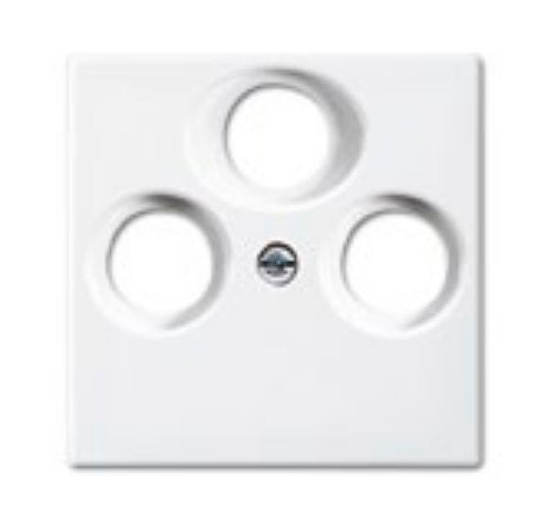 EAN 4011395190753 - Busch-Jaeger 1724-0-4335 placa de pared y cubierta de interruptor Blanco imagen 1