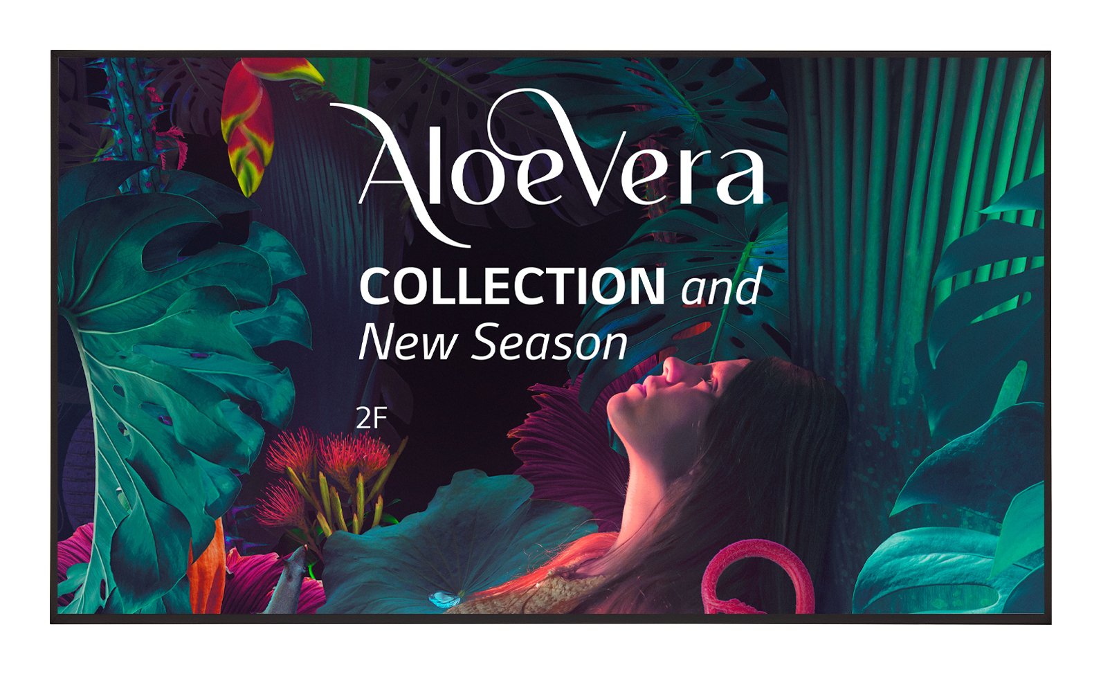 EAN 8806084296511 - LG 55UH5N-E Pantalla plana para señalización digital 139,7 cm (55") LCD Wifi 500 cd / m² 4K Ultra HD Negr imagen 1