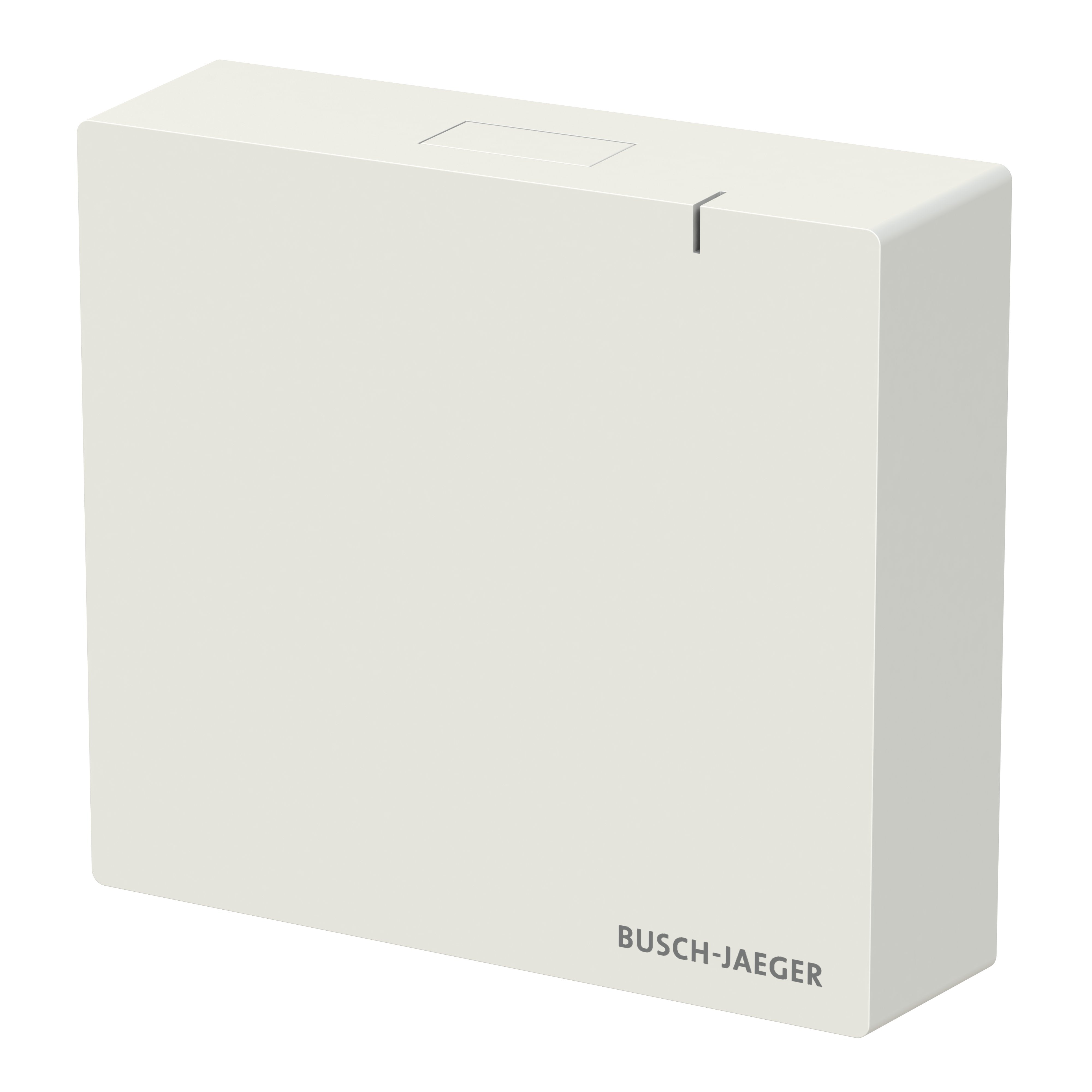 EAN 4011395346068 - Busch-Jaeger 2CKA006200A0868 placa de pared y cubierta de interruptor Blanco imagen 2