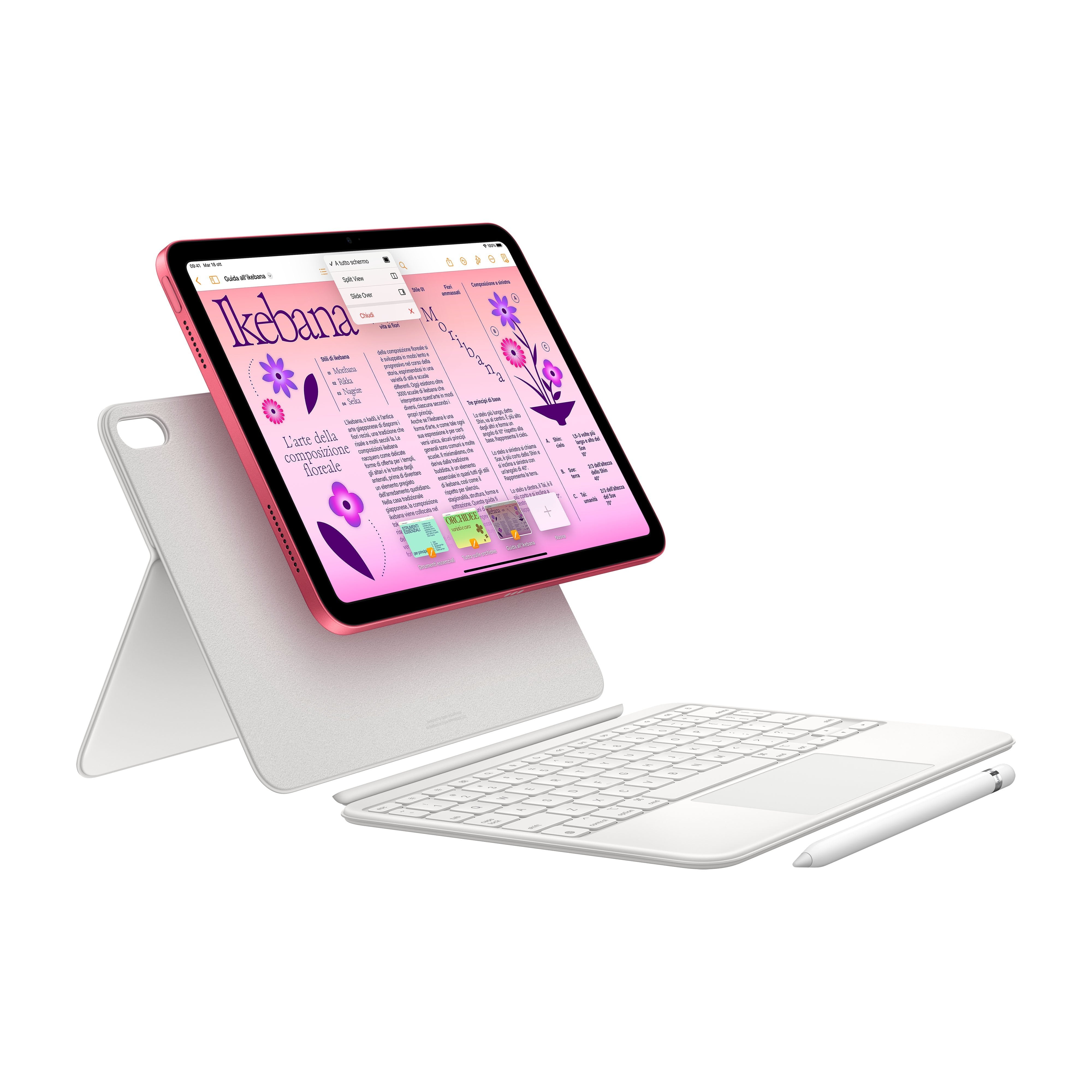 EAN 0194253390305 - Apple iPad w/ 3 Years Warranty 256 GB 27,7 cm (10.9") Wi-Fi 6 (802.11ax) iPadOS 16 Rosa imagen 6