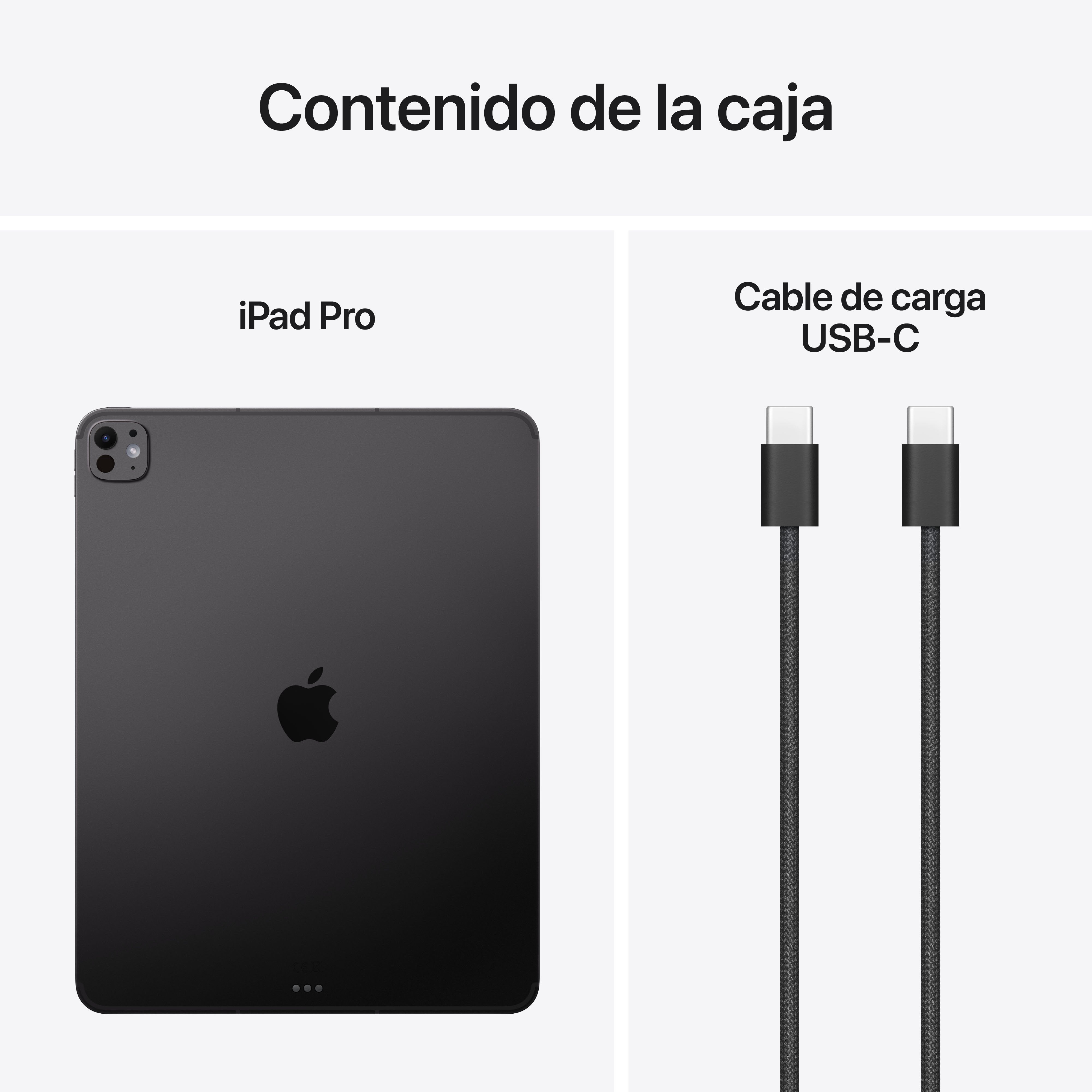 EAN 0195950406269 - Apple iPad Pro 5G Apple M LTE-TDD & LTE-FDD 2 TB 33 cm (13") 16 GB Wi-Fi 7 (802.11be) iPadOS 26 Negro imagen 9