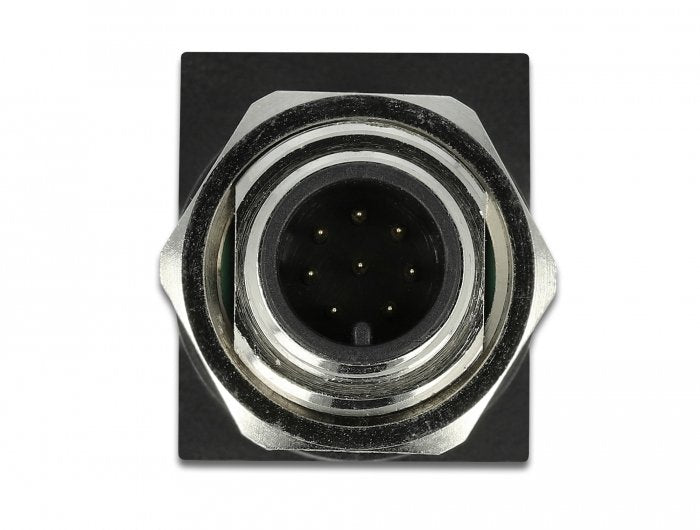 Delock Netzwerkadapter M12 A-Kodiert 8 Pin Stecker Zu Rj45 Buchse
