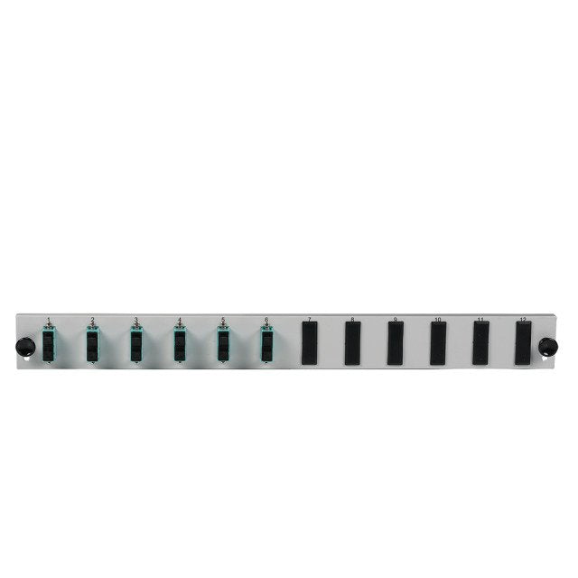 Efb Equipado Con Panel Frontal De 12 Puertos Con Acoplamiento Dúplex Sc 6 X Om3 Vertical, Gris