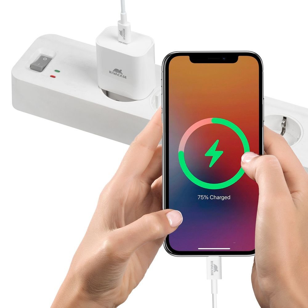 Mobile Charger Wall/White Ps4101 Wd4 Rivacase