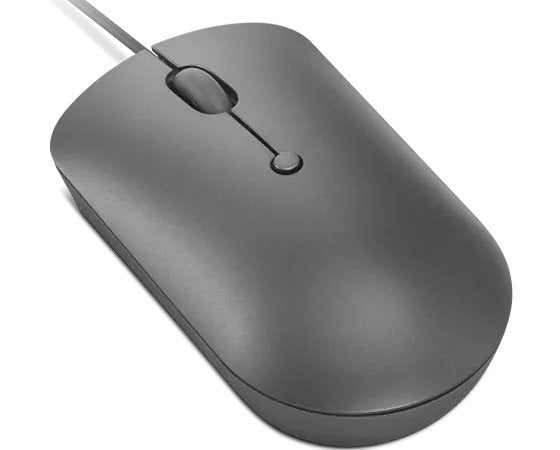 Ratón Compacto Con Cable Lenovo 540 Usb-C (Gris Tormenta)