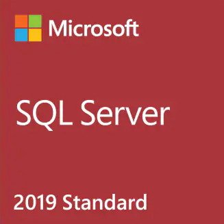 Microsoft Ms Sql Svr Standard Edtn 2019 English Dvd 10 Clt (Nur Als 10er Pack Buchbar)