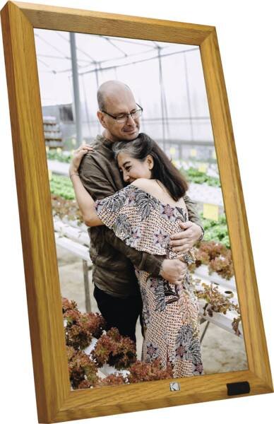 Kodak Wf238v Wifi Wurzelholz