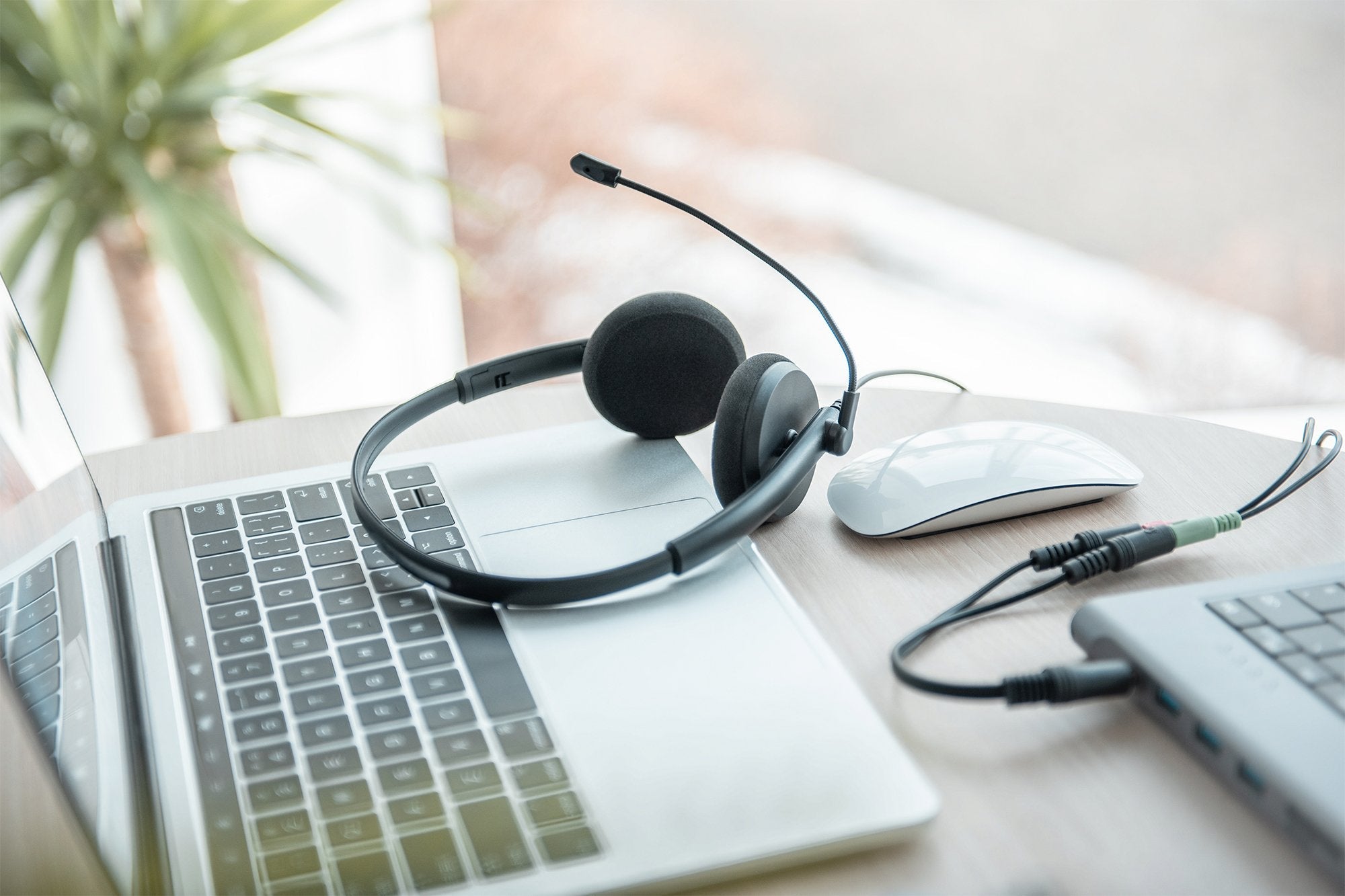 Digitus On Ear Office Headset On Ear, Noise Rojouction