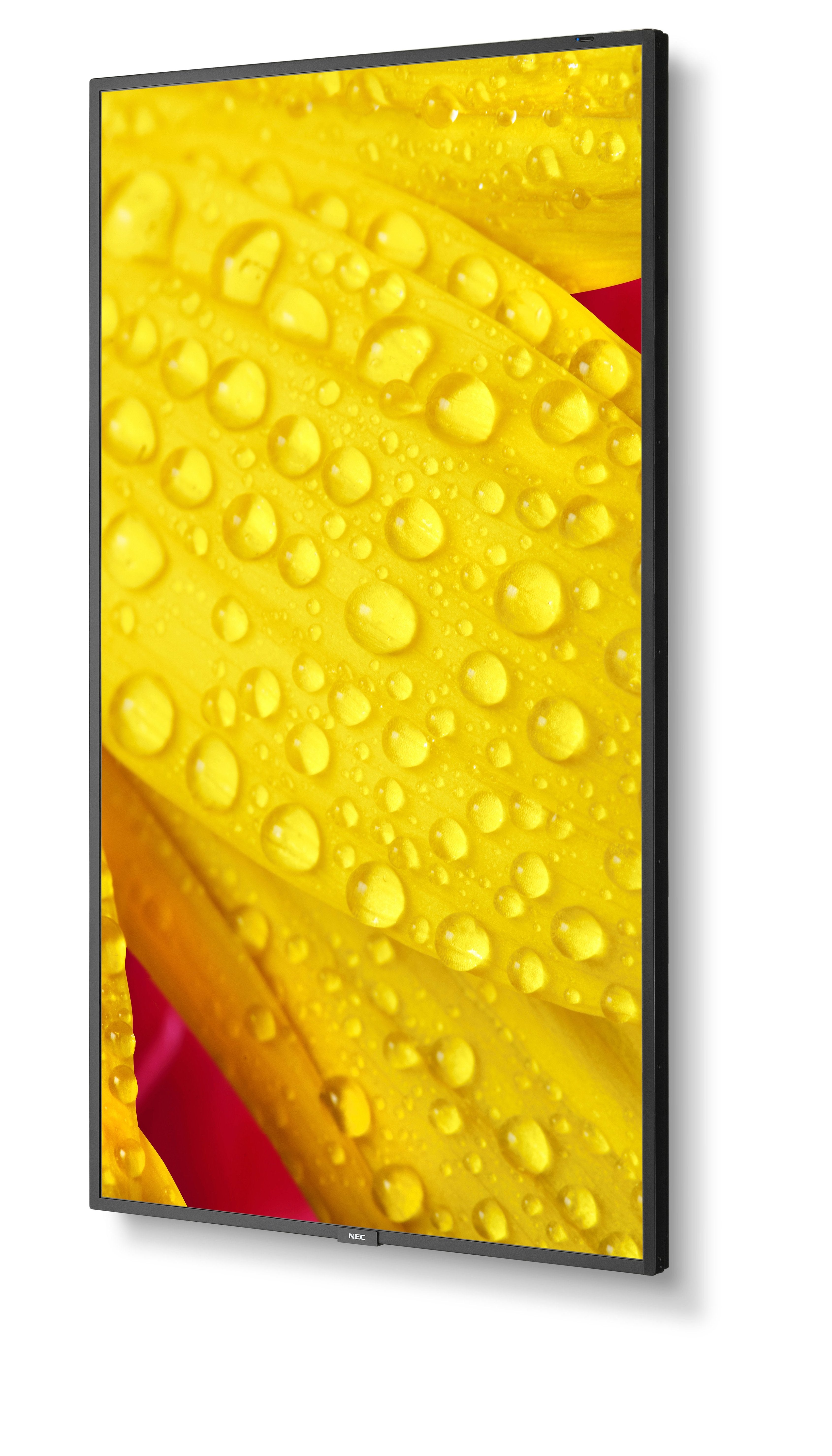EAN 5028695127487 - NEC MultiSync M551-2 Diseño de quiosco 127 cm (50") LED 4K Ultra HD Negro Procesador incorporado imagen 10