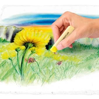 Staedtler 2430 Pack De 24 Tizas Pastel Suave - Excelentes Para Mezclar Colores