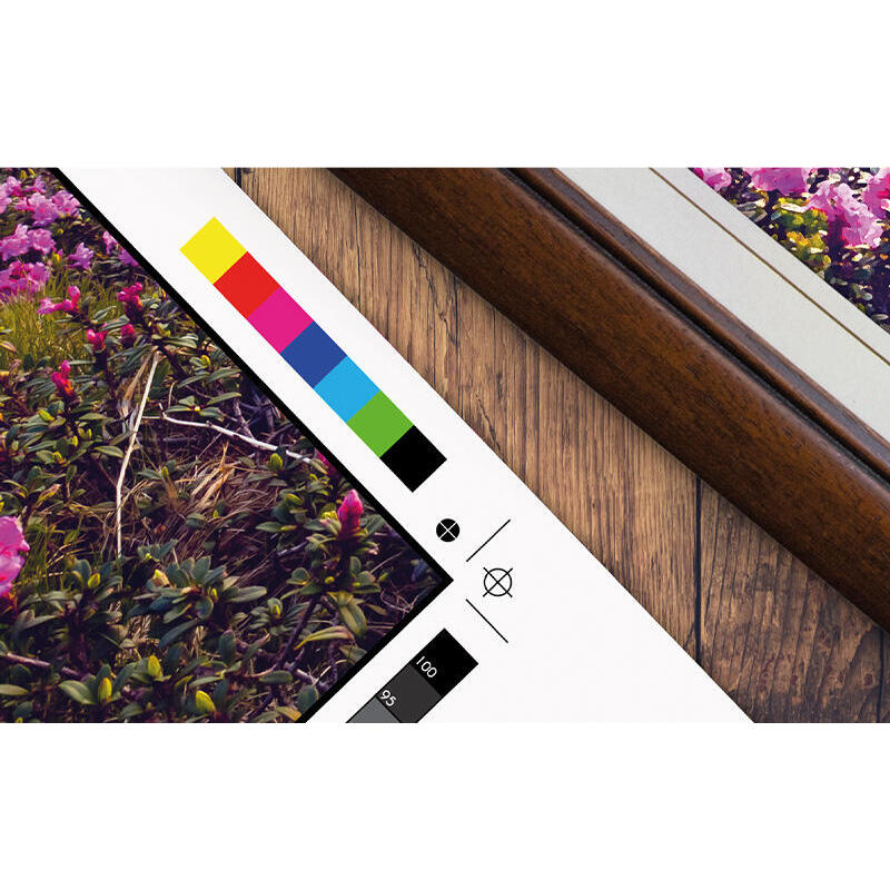 Epson Impresora Gran Formato Surecolor Sc-P9500 Std