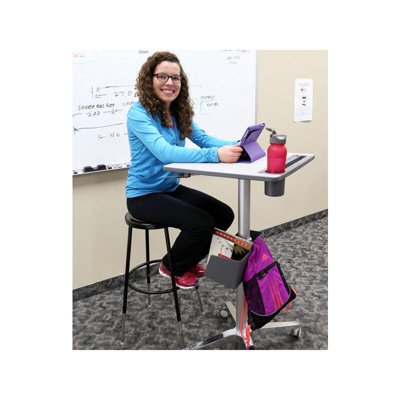 Ergotron Learnfit