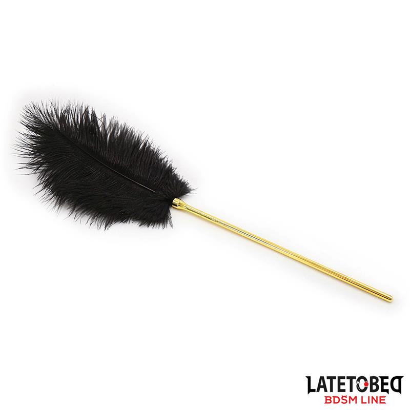 Estimulador De Plumas 41 Cm