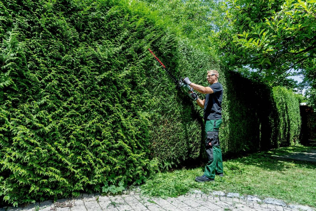 EAN 4061792228436 - Metabo 601722850 no categorizado imagen 6