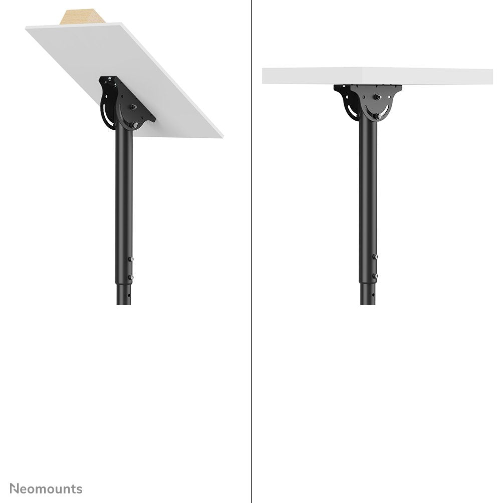 Newstar Soporte De Techo Para Tv