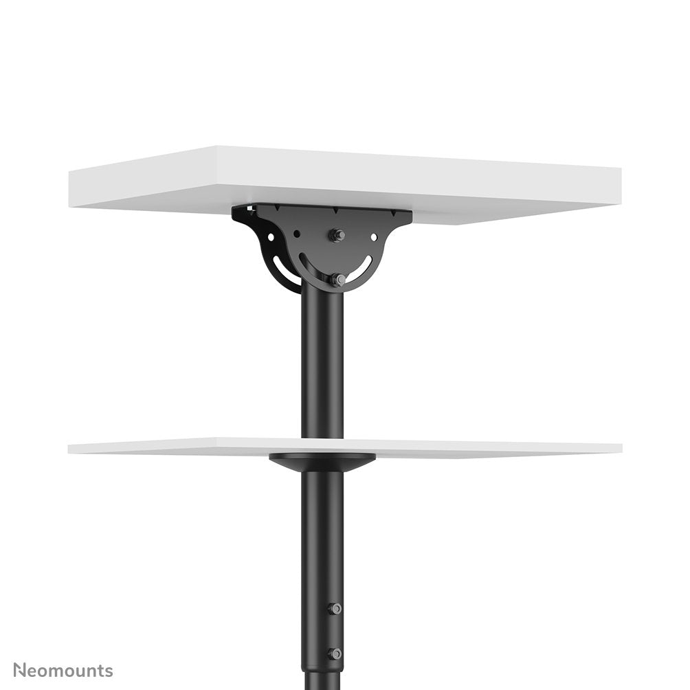 Newstar Soporte De Techo Para Tv