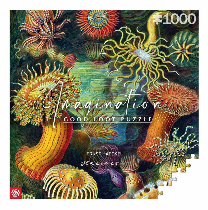 Puzzle Good Loot 1000 Imagination Ernst Haeckel Stworzenia Morskie
