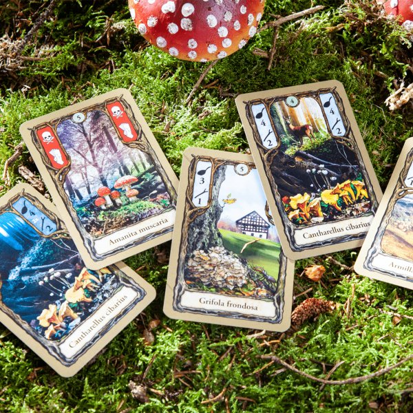 Hongos Pegaso, Juego De Cartas 18113g