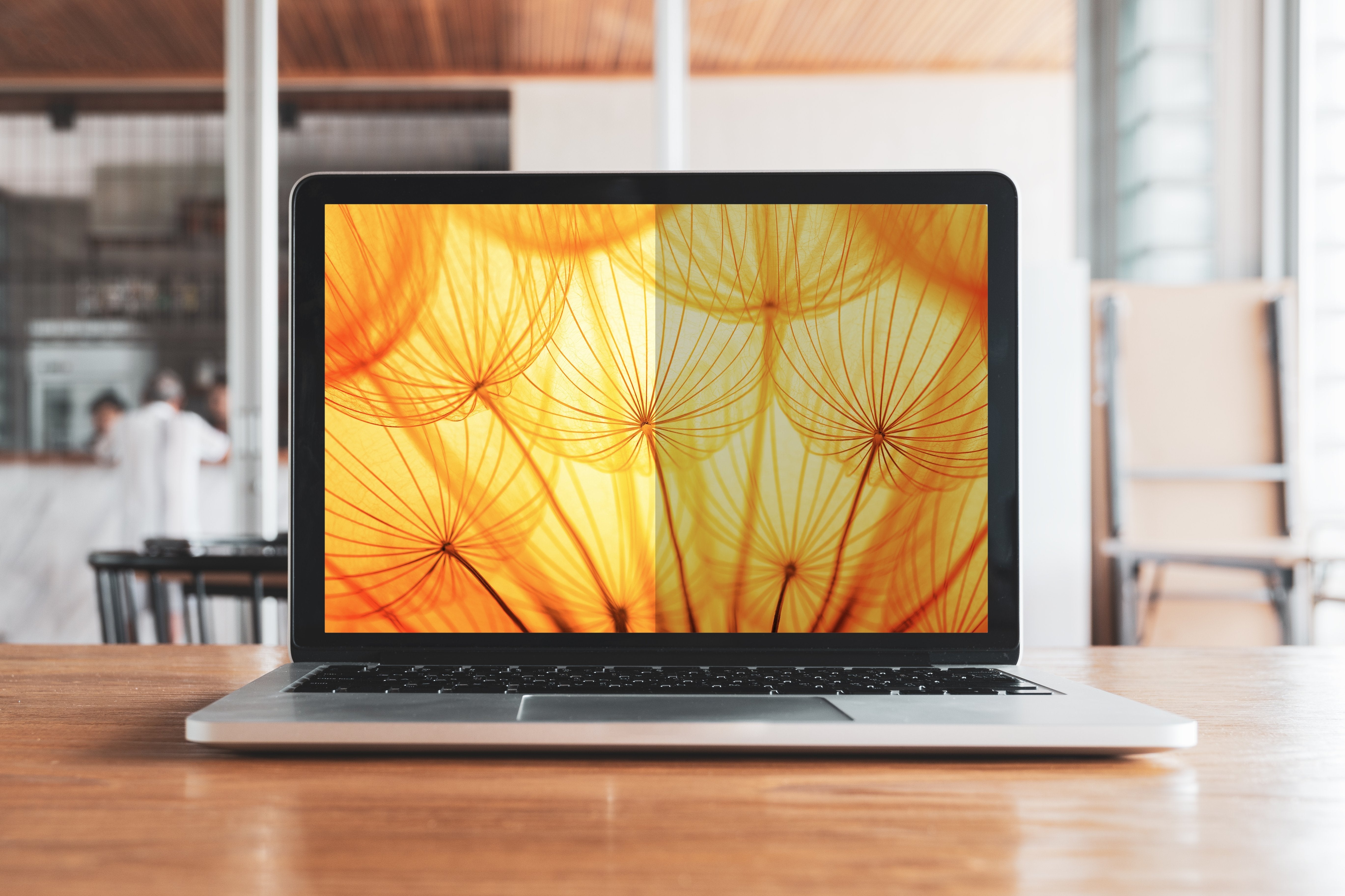 Filtro De Privacidad 3m Para Apple® Macbook Pro® 14 M1-M2, 16:10, Bpnap003