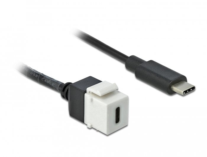 Adap Delock Keystone Usb 3.0 C To Usb 3.0 C Mit Cable