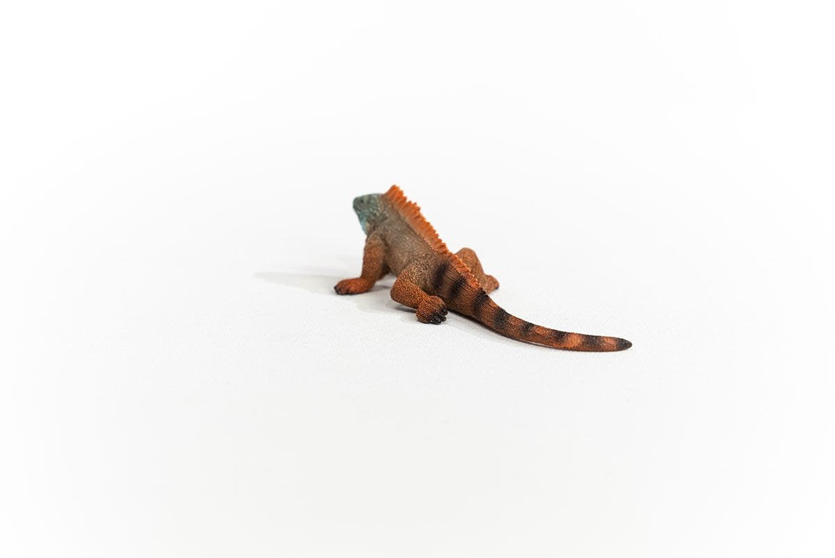 Schleich Iguana Vida Salvaje 14854