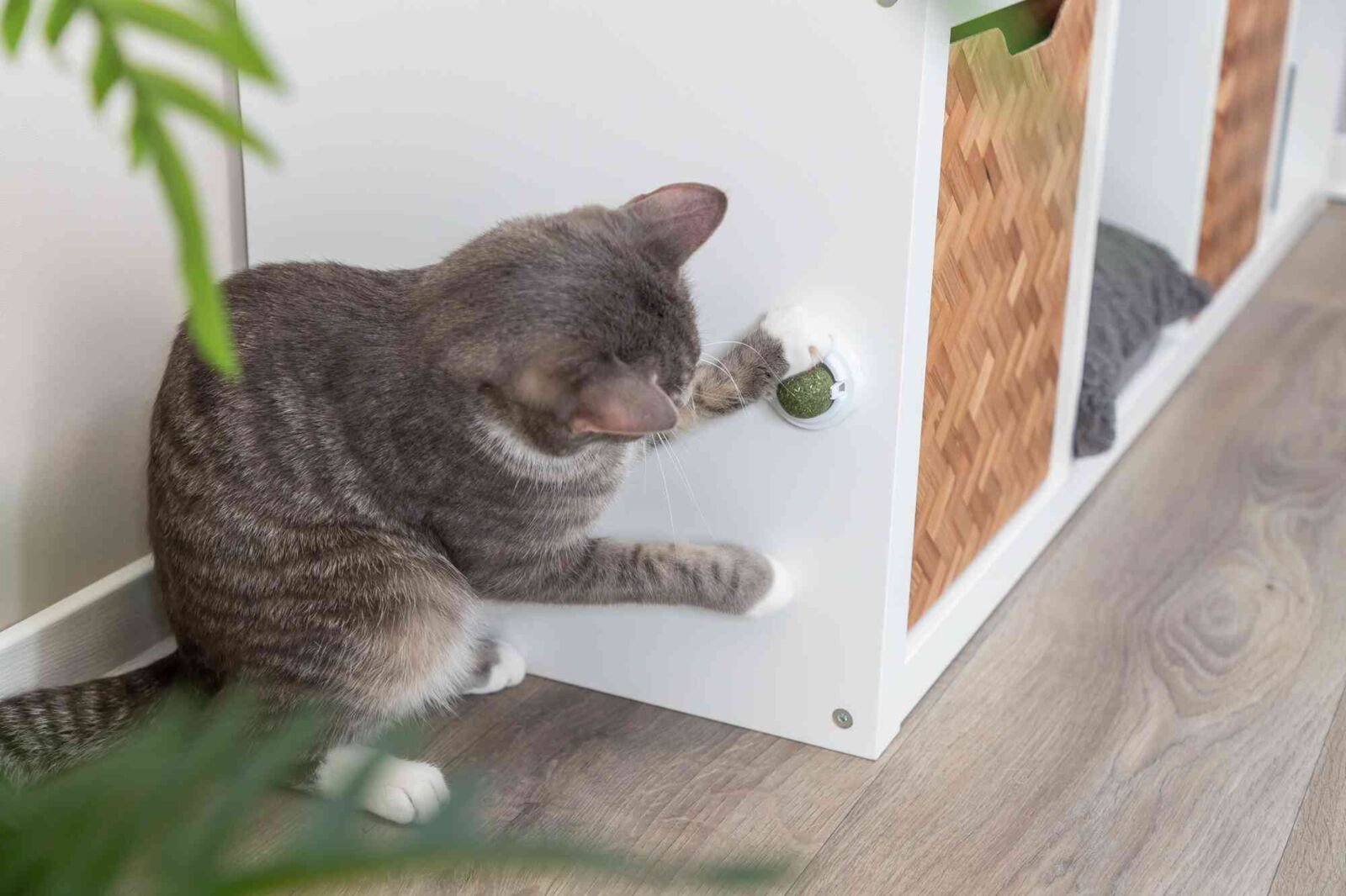 Juguete  Trixie Catnip Ball  Para Gato