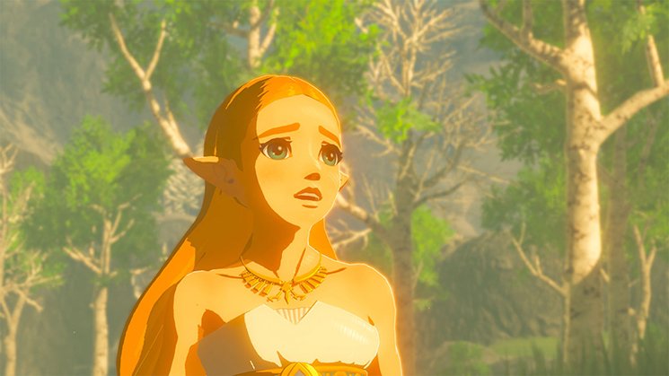 The Legend Of Zelda: Breath Of The Wild (Ns)