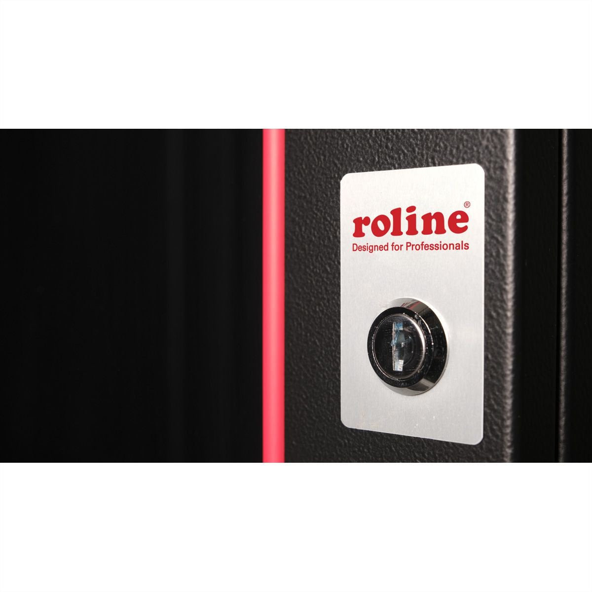 Roline 19-Zoll Wandgehuse Pro 16 He, 600x450 Bxt Schwarz