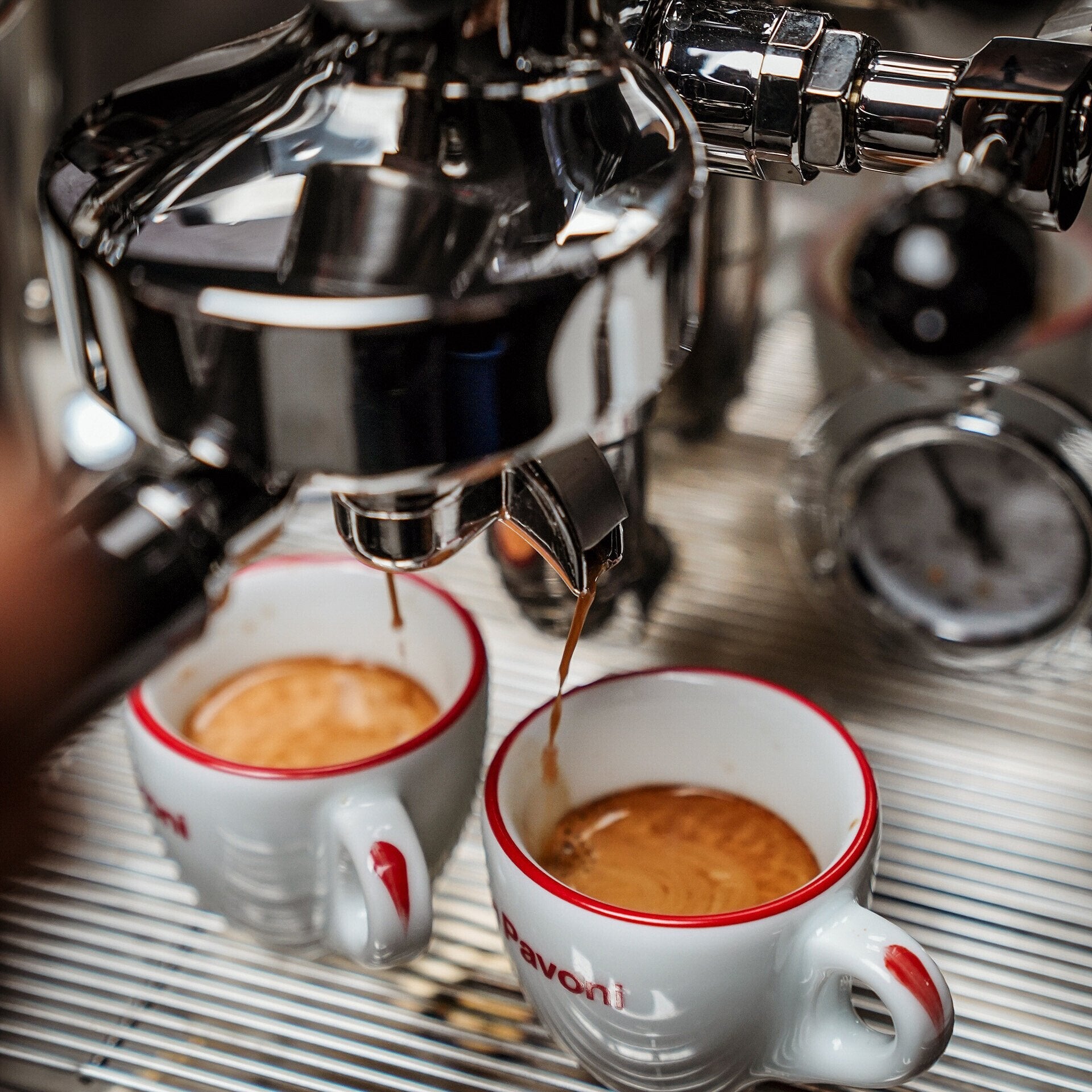 La Pavoni New Botticelli Speciality