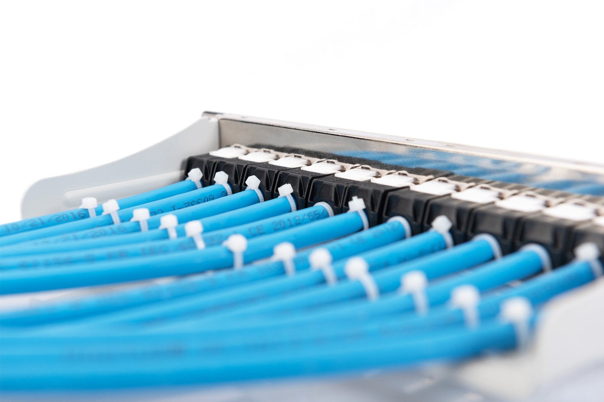 Digitus Modular Patchpanel, 12-Port