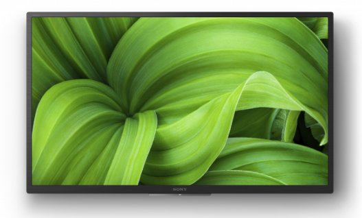 Pantalla Señalización Sony Fwd-32w8001  Digital 81,3 Cm (32") Led Wifi 380 Cd / M² Wxga Negro Procesador Incorporado Android 10