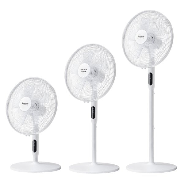 EAN 8414234472656 - Taurus Ice Brise Blanco imagen 4