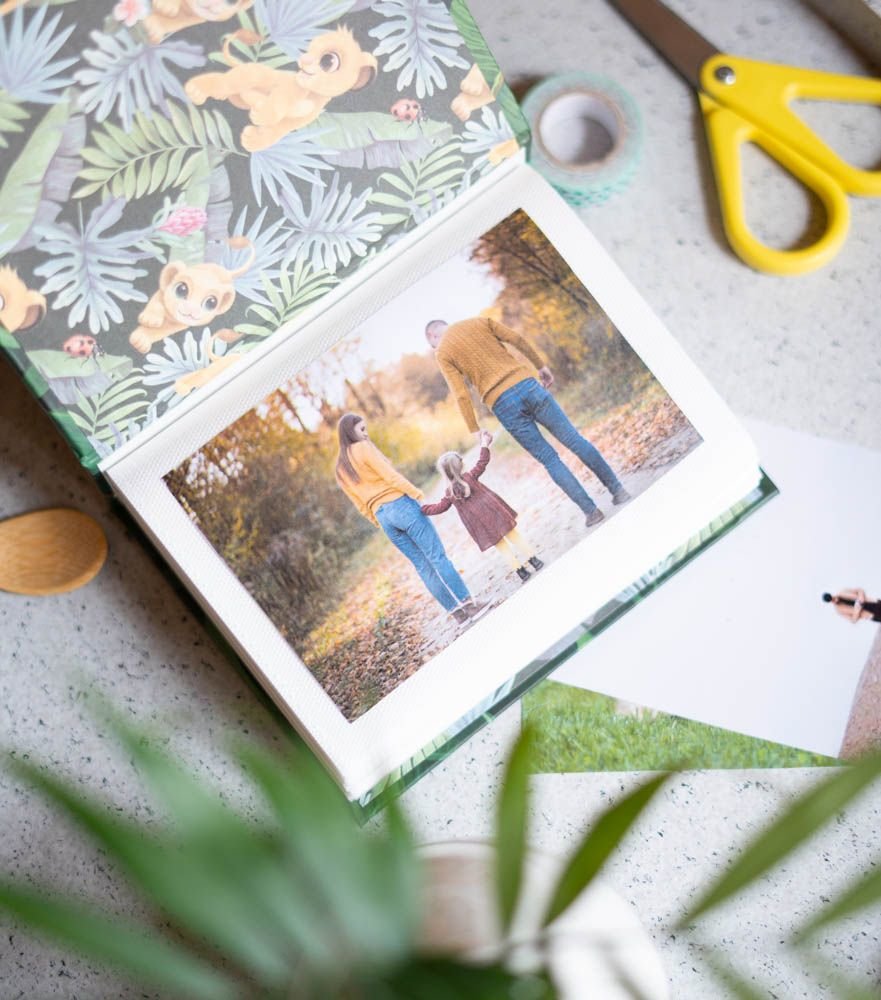 Album De Fotos El Rey Leon Disney