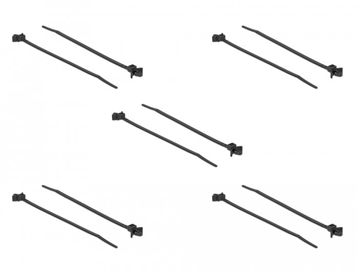 Delock Bridas Con Anclaje De Expansión L 140 X W 4 Mm Negro 10 Piezas