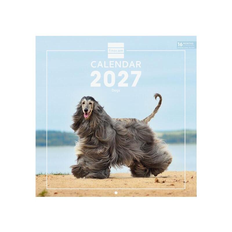 Finocam Dogs Calendario De Pared Internacional - 16 Meses 26/27 - Mes Vista - 300x300mm - Papel De 170g/M2 - Imagenes