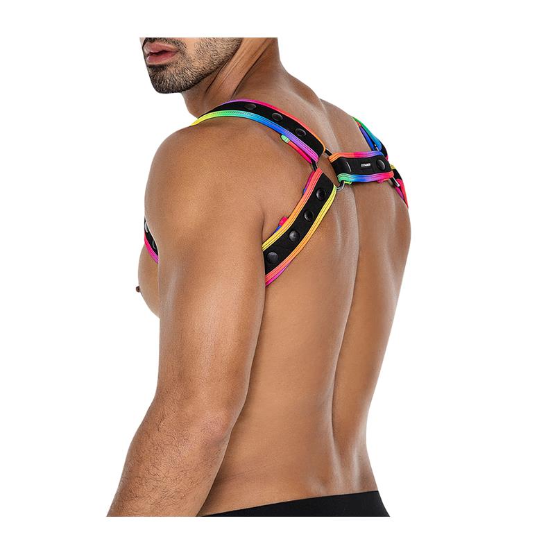 Arnés H4rness05  De Pecho Neon Multicolor Talla Única