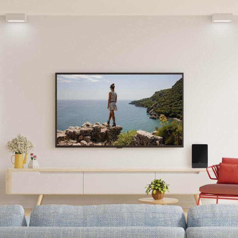 Hama Dvb-T2 Pro50 Fl-2