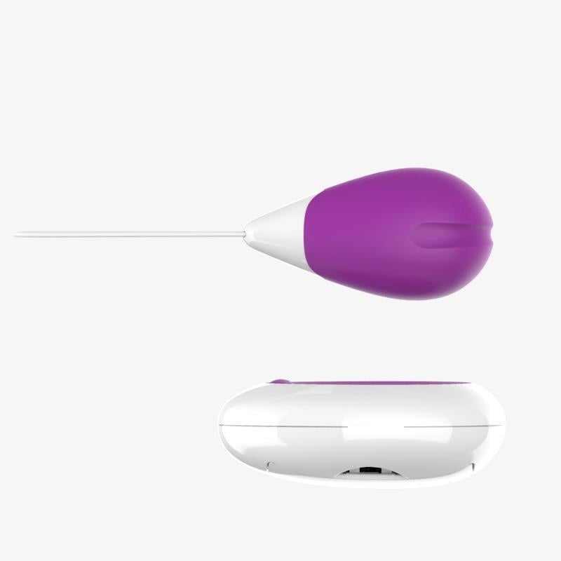 Huevo Vibrador Con Control Remoto Usb Púrpura