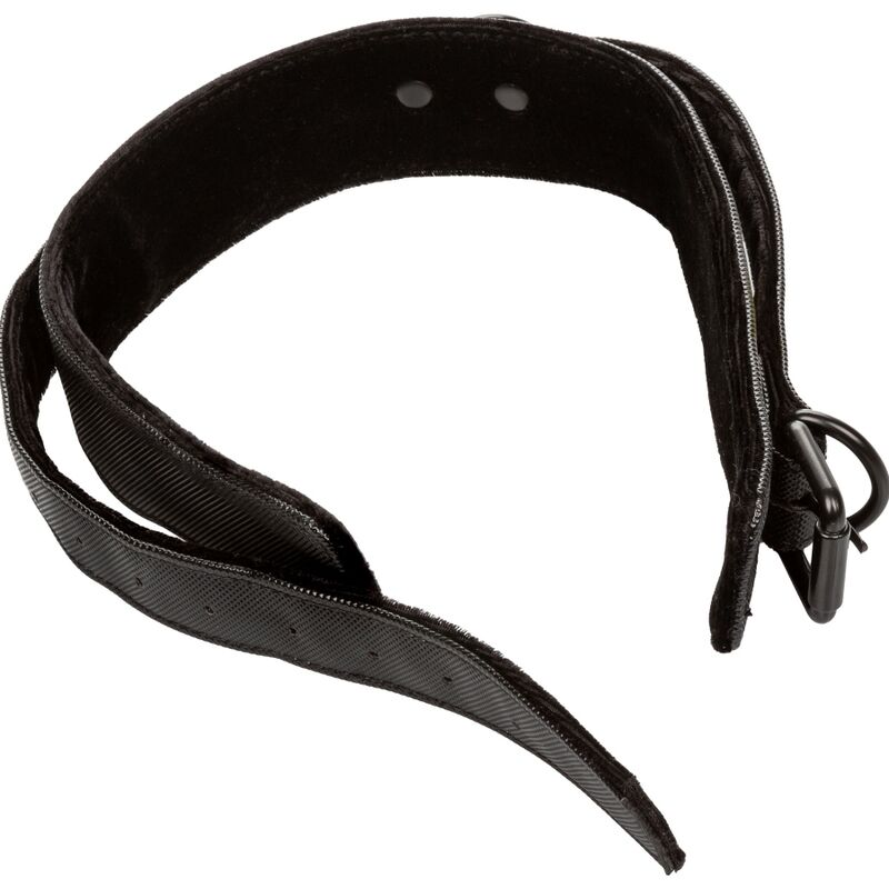 Collar Y Correa Sin Límites - Negro