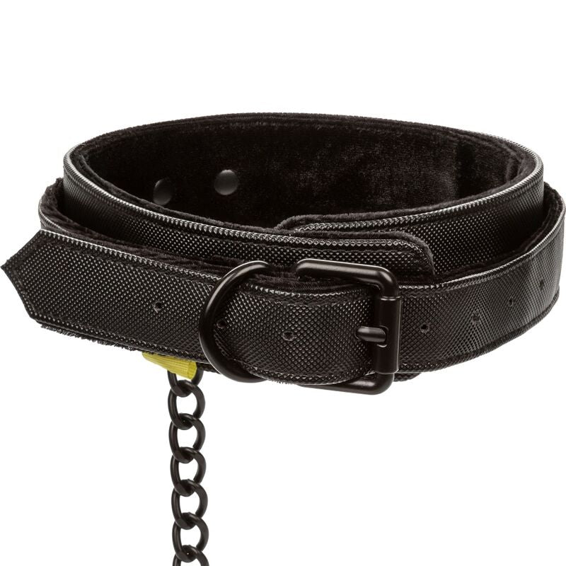 Collar Y Correa Sin Límites - Negro