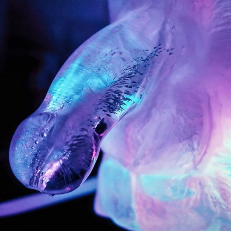 Pene Congelado   Ice Luge - Enorme