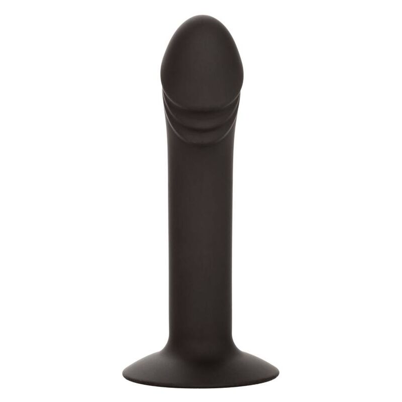 Calexotics - Curved Anal Stud