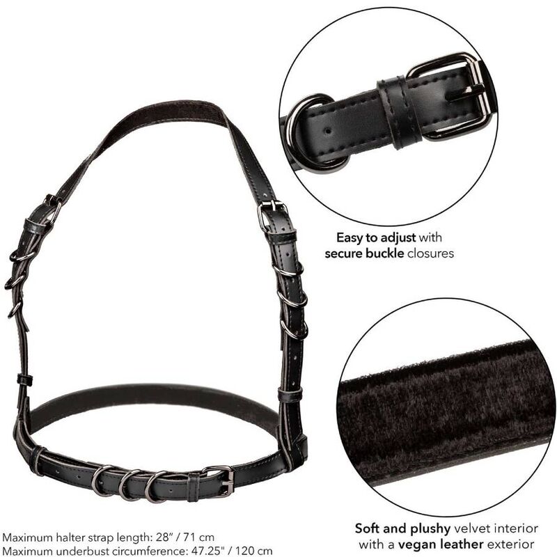Calexotics - Euphoria Arnés Hatler Con Hebilla Talla Grande Negro