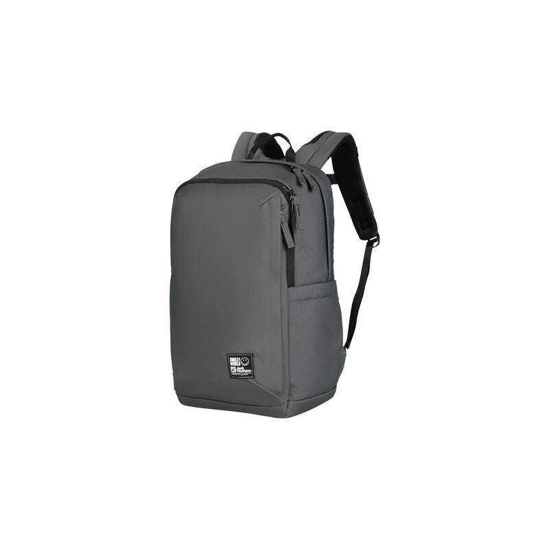Jack Wolfskin Smileyworld Backpack, Mochila Verde-Gris, 22 Litros 2020511_4136_os