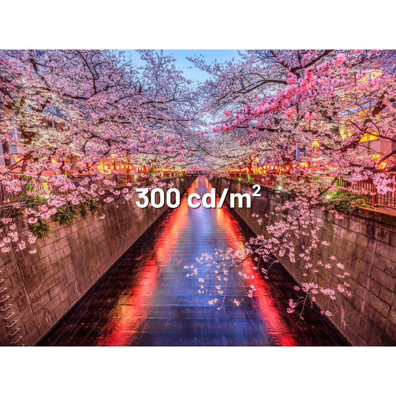 Japannext 60,5cm Jn-I238fhd120f-Hsp-Ye 16:9 Hdmi Amarillo Fhd