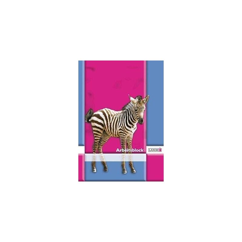 Landre Arbeitsblock A4 50 Hojas 80 G/Qm Lineatur 3