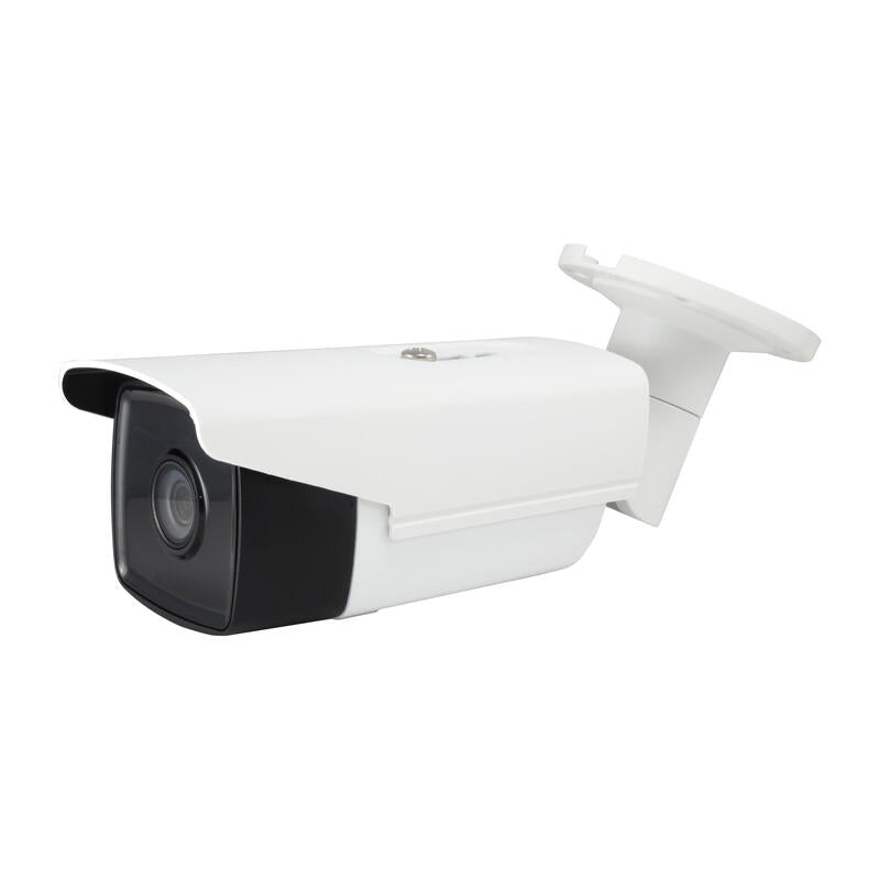 Levelone Fcs-5092, Cámara De Seguridad Ip, Interior Y Exterior, Alámbrico, Ce, Fcc, Bala, Techo/Pared