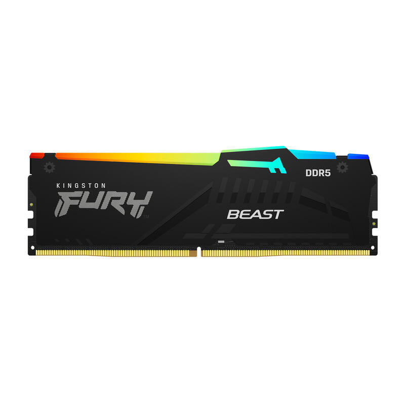 Memoria  Kingston Technology Fury Beast Rgb  16 Gb 1 X 16 Gb Ddr5 Ecc